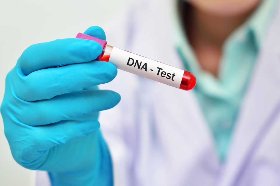 618D55Bde102C84A96783D80 Dna Test