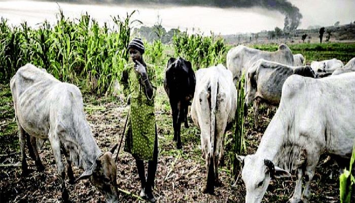 Farmers Herders Clashes
