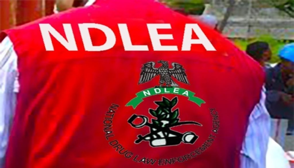 Ndlea 1 1 1