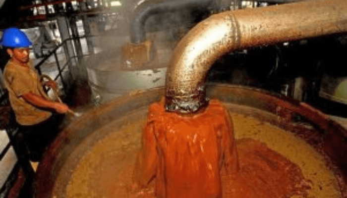 Palm Oil