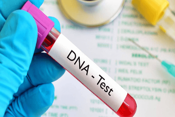 Smart Dna Report