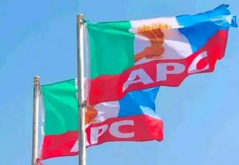 Apcc 492X340 1