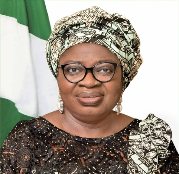Accountant General Of The Federation Dr Oluwatoyin Madein