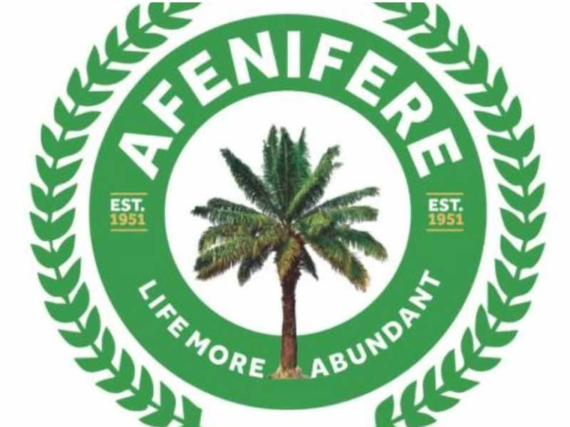 Afenifere 1