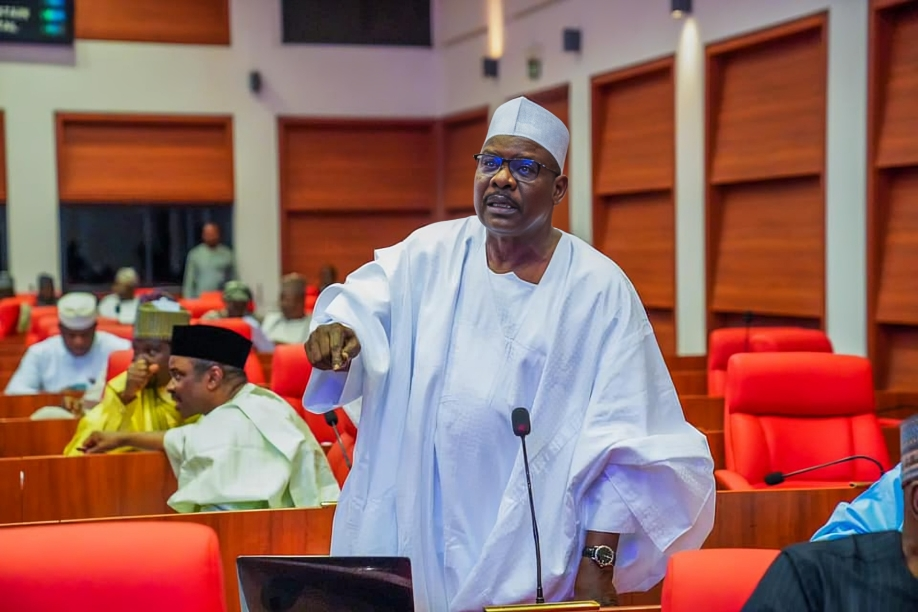 Ali Ndume