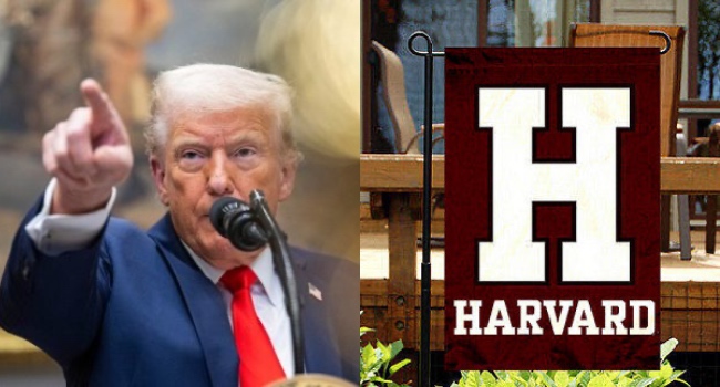 Donald Trump And Harvard