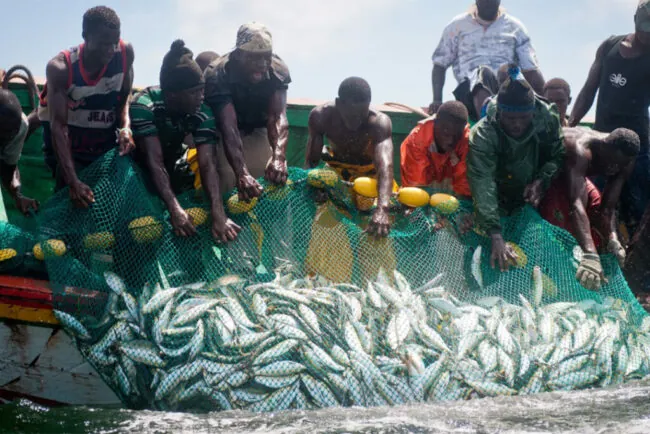 Fishery Image 1080X720 1024X683 1 E1690219576107