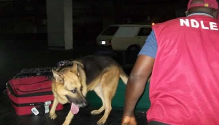 Germany Donates Modern Sniffer Dog Facility To Ndlea