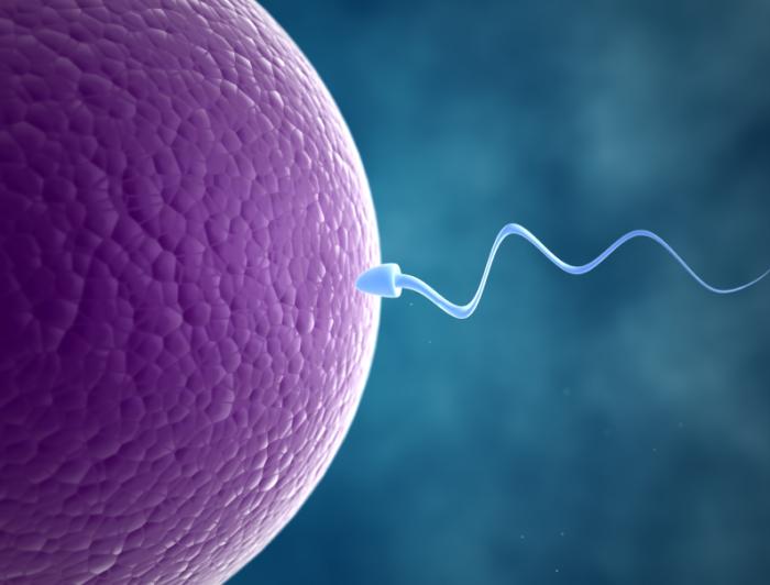Infertility 1