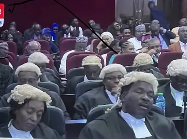 Lawyers Sleeping