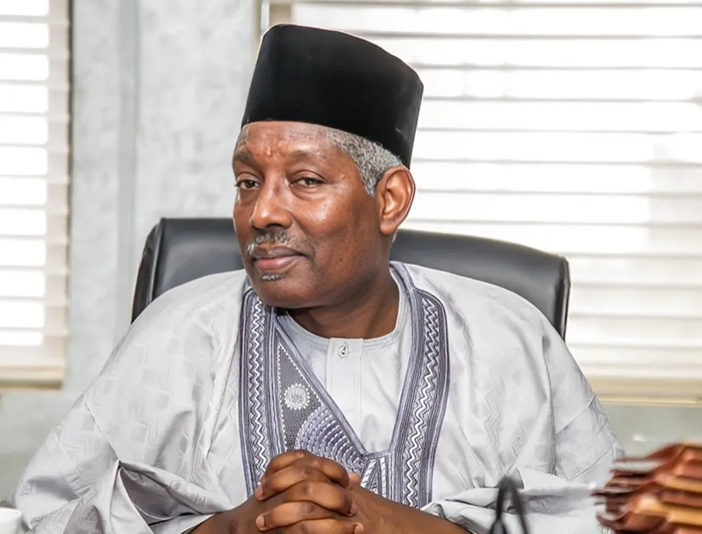 Lamis Dikko Nddc
