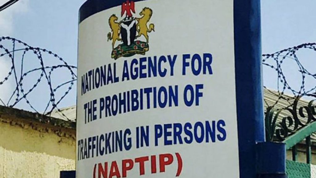 Naptip 1 1