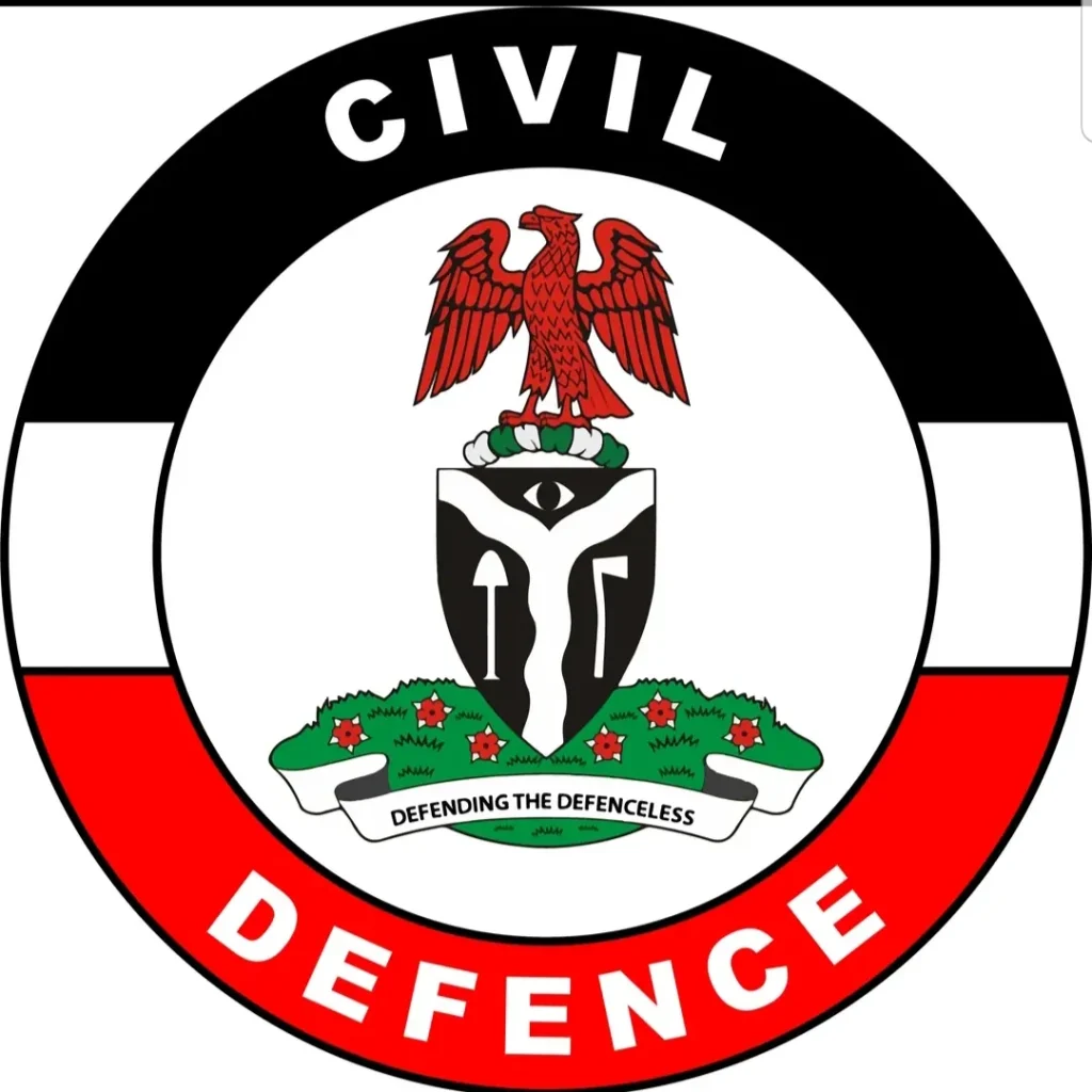 Ncdsc 1