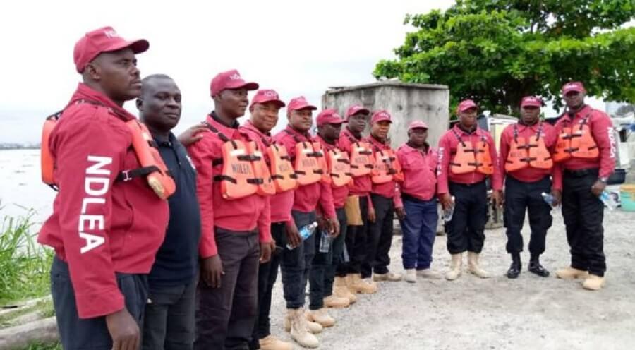 Ndlea 1