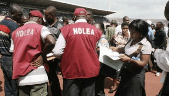 Ndlea 1