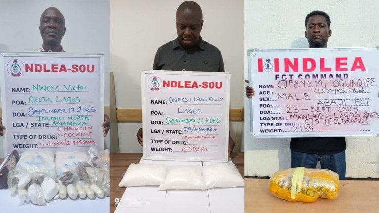 Ndlea Suspects
