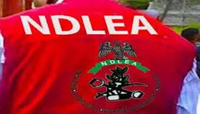 Ndlea