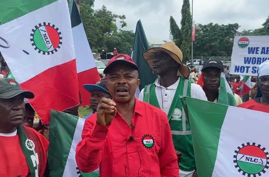 Nlc Strike Joe