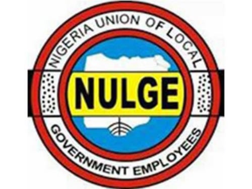 Nulge Logo