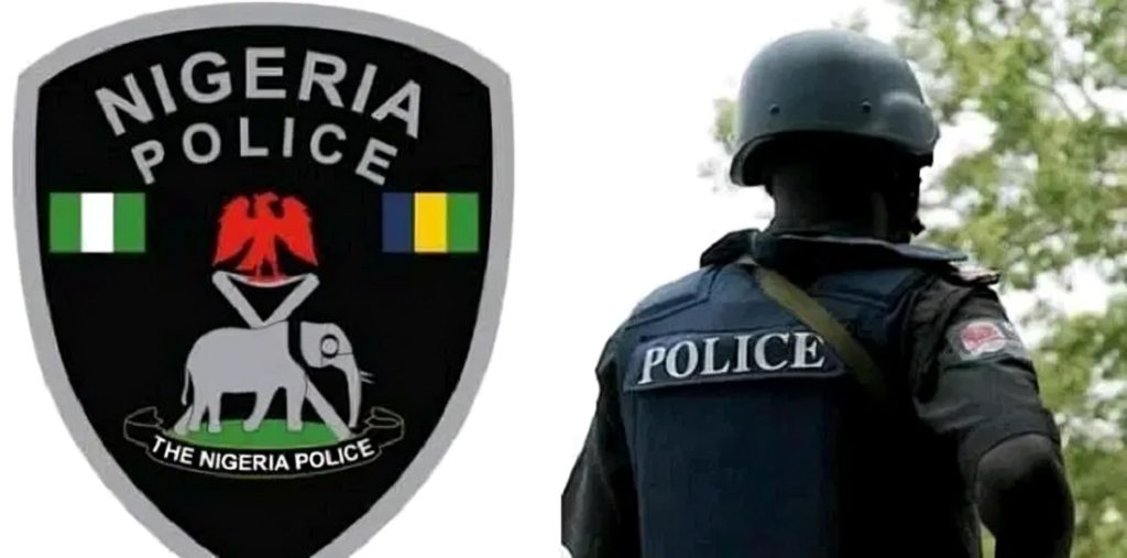 Nigeria Police Force 1