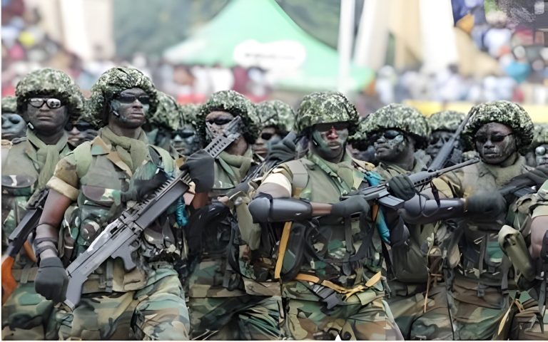 Nigerian Army 768X480 1