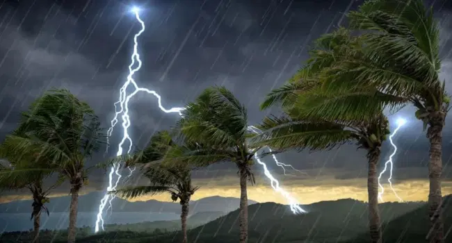 Nimet 1758530526