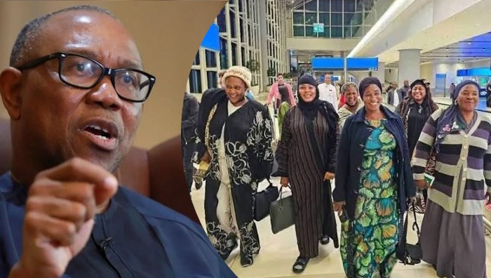 Peter Obi Slams Adamawa Lg Chairmen Over E282A6600M Turkey Trip For Wives Leadership Training