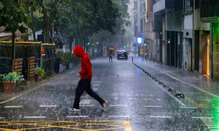 Rain