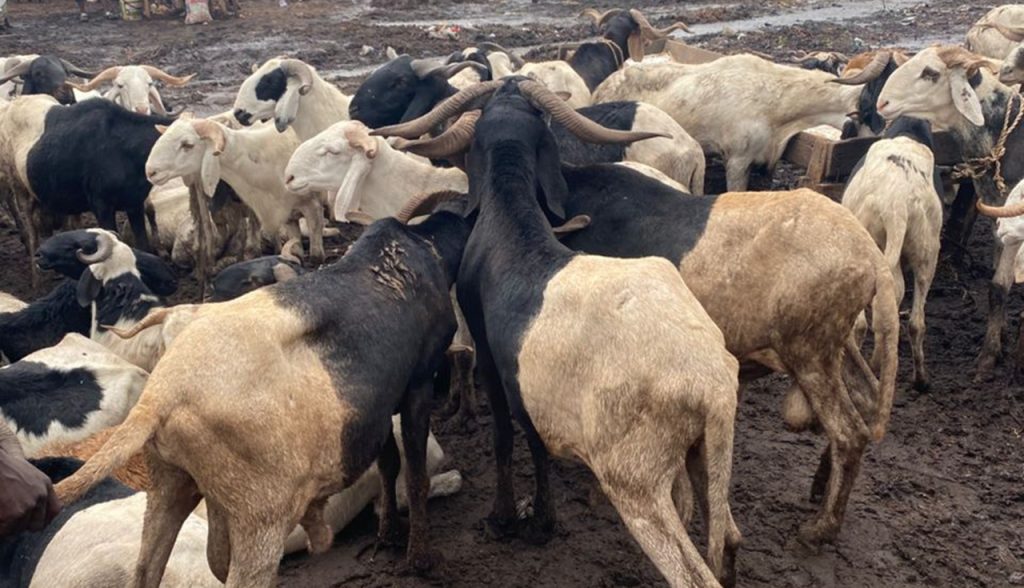 Ram Market
