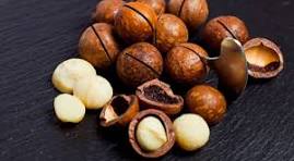 Shea Nut