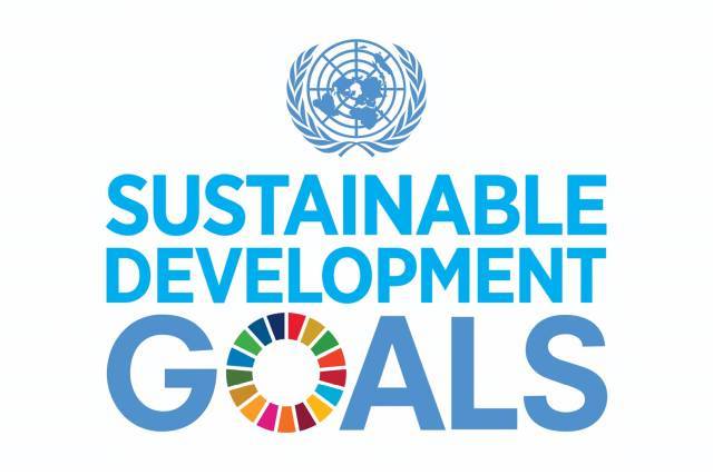 Sustainable Development Goals Sdg