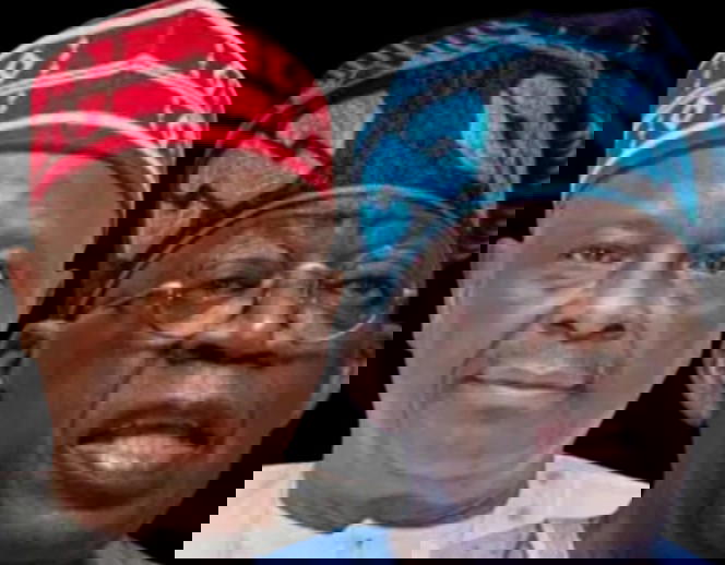 Tinubu Kwankwaso