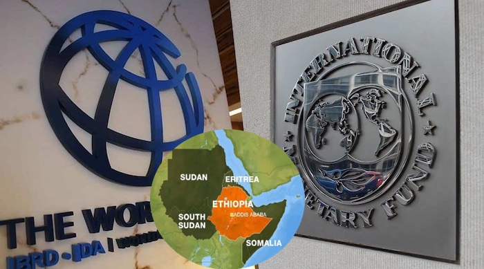 World Bank Imf Warn Ethiopia Faces Unsustainable Debt Amid Political And Economic Strains 1