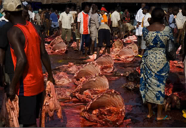 Abattoir 1