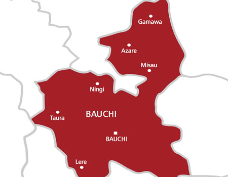 Bauchi Map1