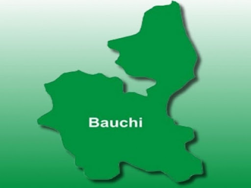 Bauchi State Map 1