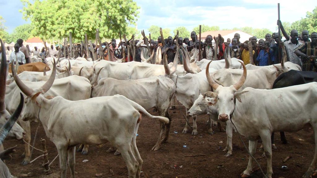 Cattle Markets