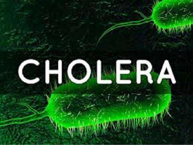 Cholera Ppts 1 638