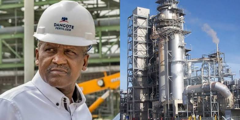 Dangote 2
