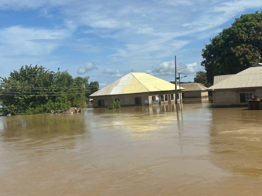 Flood 2