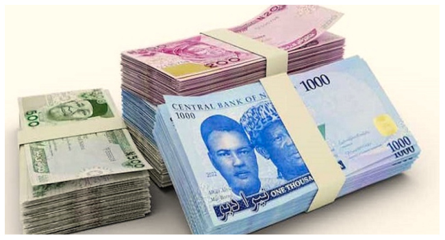 Naira Notes1