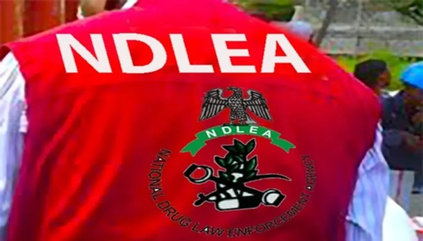 Ndlea 1 1 1 860X491 1