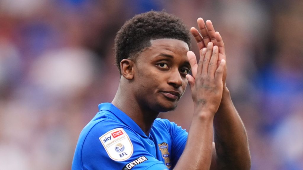 Skysports Birmingham City 7026199