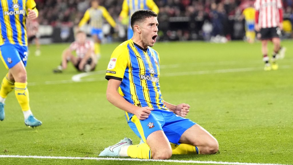 Skysports Ross Stewart Southampton 7037623