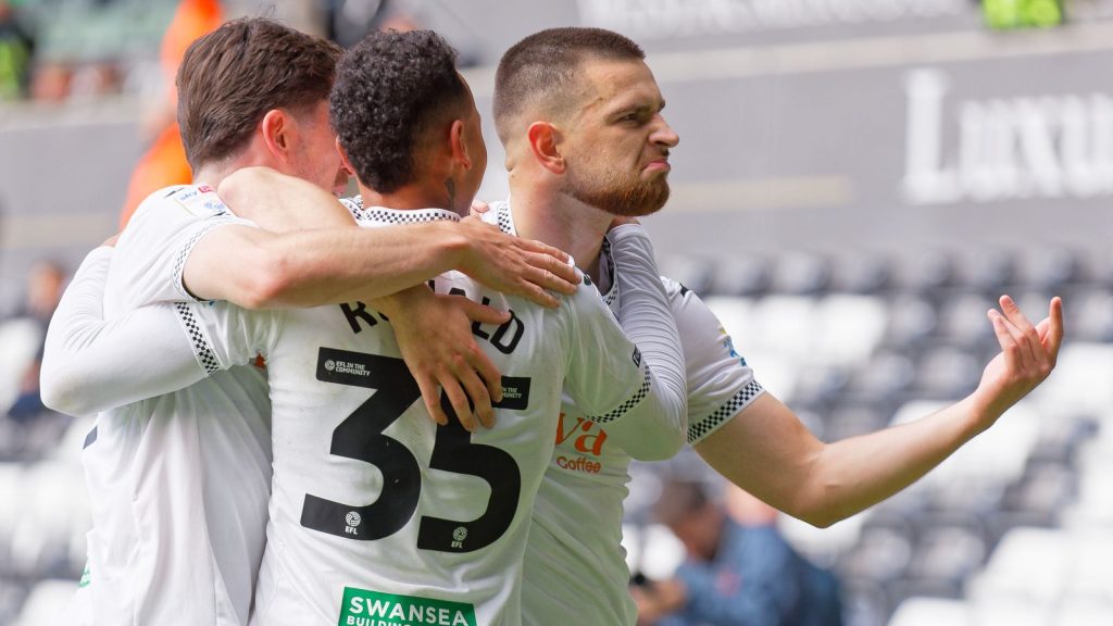 Skysports Zan Vipotnik Swansea 7033269