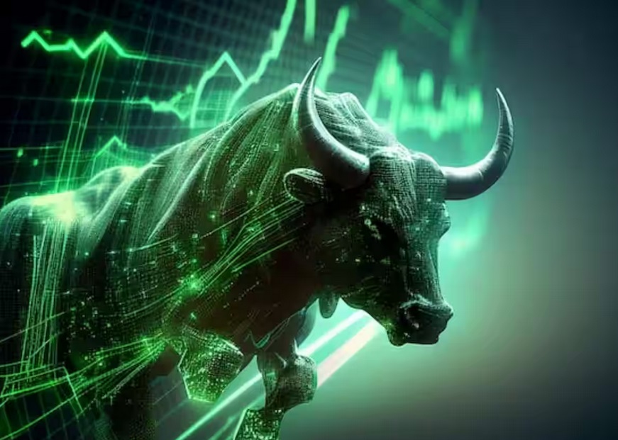 Stock Market Bulls