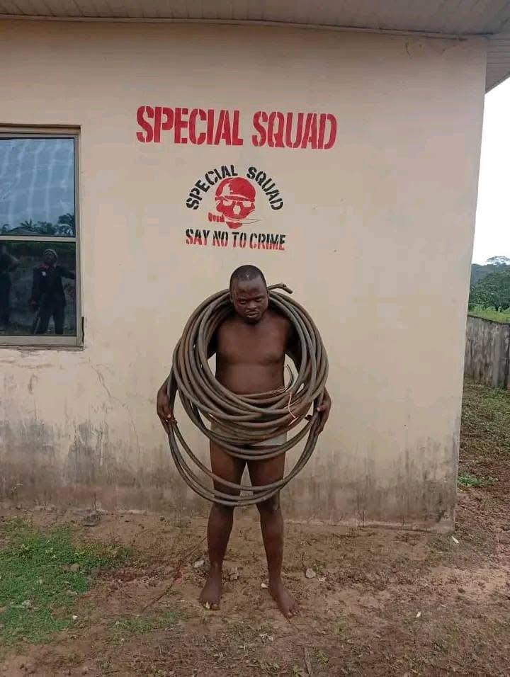 V3 1758478788