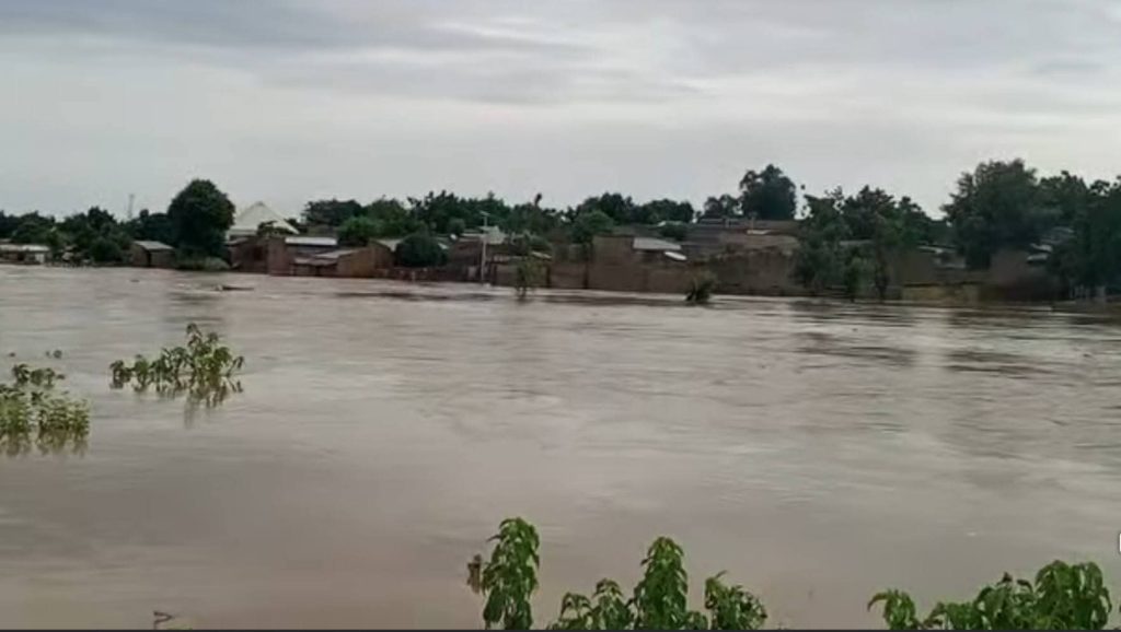 Yobe Flood Submerges Houses