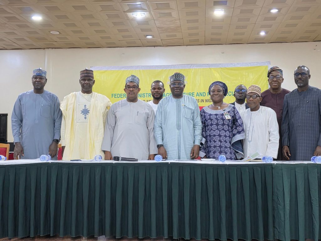 1000014101 Scaled 1 1000014101 Scaled 1