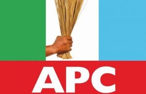 Apc Logo 300X193 1